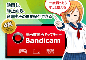 高性能動画キャプチャーソフトbandicam バンディカム 情報ウェブ